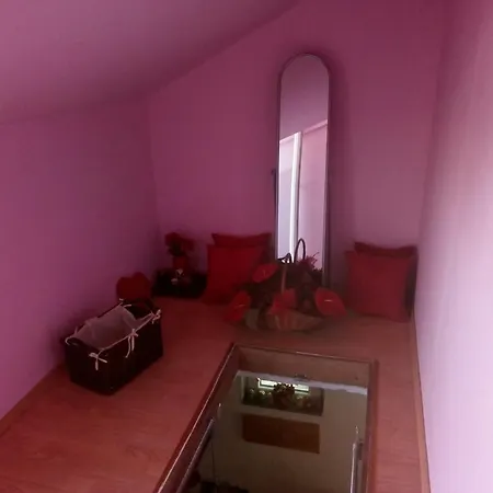 Vacation Lejla Bihać